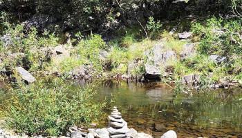 Laika - 11300 Montevideo