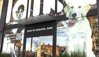 Laika | Ellauri - 11300 Montevideo