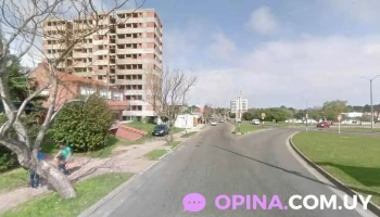 Landriel - Ave Joaquín De Viana