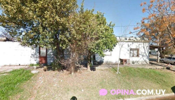 Las melli - Mercedes Las melli - Mercedes