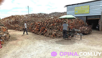 Leñeria Y Barraca De Maderas David - Maldonado Leñeria Y Barraca De Maderas David - Maldonado