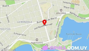 Leticia Vecino Propiedades - Montevideo