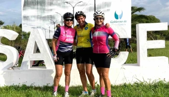 Letras de Sauce - Sauce