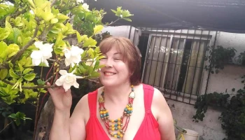 Libreria Calculin - Rosario