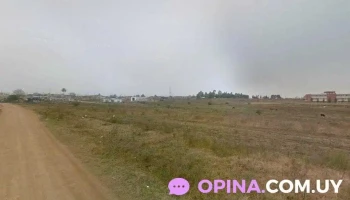 Librería de mangas - Melo