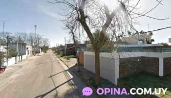 llibreria x mayor mayor - Canelones