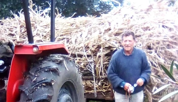 Lo De Luna - San Jacinto