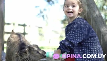 Lo de Manu · Puertito del Buceo - Montevideo