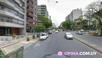 Lo de Vivi Bar - Montevideo Lo de Vivi Bar - Montevideo