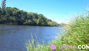 Los Caños Negros - C. 22 Los Caños Negros - C. 22