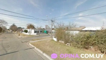 Los zorzales de niños - San Carlos