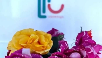 Lr Odontología - Libertad