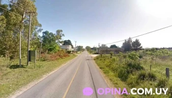 Luis - Nueva Helvecia