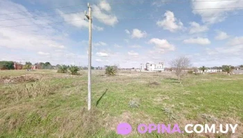 Luna Canina peluquería de mascotas a domicilio - 12600 Montevideo