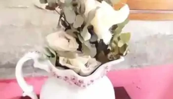 LyA - 30300 José Pedro Varela