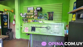 M. Ramón Pintado - 11800 Montevideo