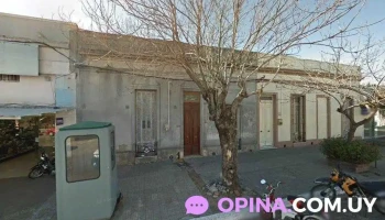 Macri - 65000 Fray Bentos Macri - 65000 Fray Bentos