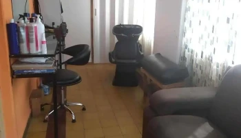 Maju Peluquería - 45100 Paso De Los Toros