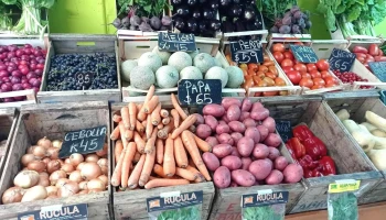 Mándale fruta - 11600 Montevideo