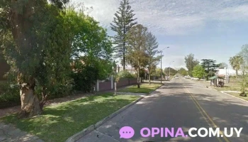 Manic Srl - 11500 Montevideo Manic Srl - 11500 Montevideo