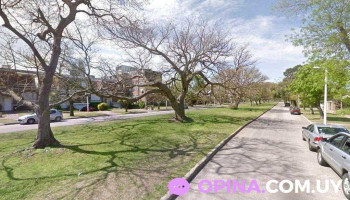 María José Scotti - Montevideo María José Scotti - Montevideo