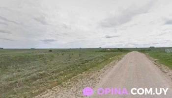 MaríaGrela - 94100 Palermo