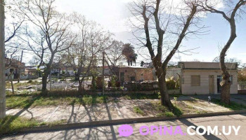 Mariel Ferreira - 11400 Montevideo