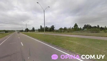 Marquellano - Juanicó