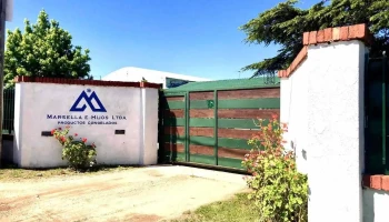 Marsella e Hijos - Atlántida