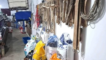 Mas Campo - Zorrilla De San Martin Mas Campo - Zorrilla De San Martin