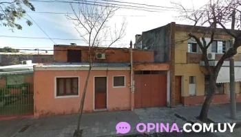 Mascoteros - 50000 Salto