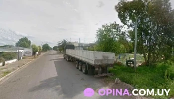 Mateo y Santino Repuestos - 30300 José Pedro Varela