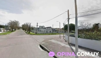 Mayorista Javier - 13000 Montevideo