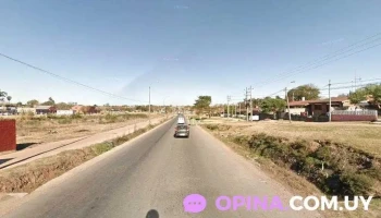 Mayorista San Martín - 12300 Montevideo