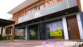 Media Grow Punta - 20100 Punta Del Este