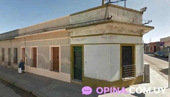 Médica Uruguaya Filial Sauce - Sauce Médica Uruguaya Filial Sauce - Sauce