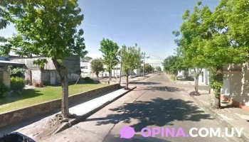 Megal - 70300 Nueva Helvecia Megal - 70300 Nueva Helvecia