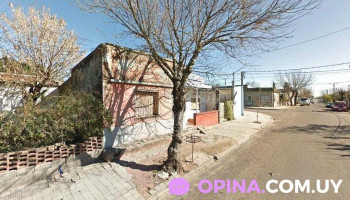 Melynor S.a - 65000 Fray Bentos