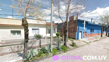 Menadel - 70300 Nueva Helvecia