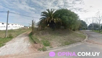 Mercado Miguel - 20000 Maldonado