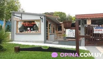 Merceria y papeleria laner - Durazno