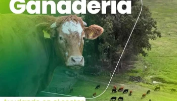 MFtopografia - Treinta Y Tres