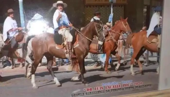 Mi Pizzeria - Maldonado Mi Pizzeria - Maldonado