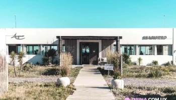 Mía Bistró - Punta Del Este Mía Bistró - Punta Del Este