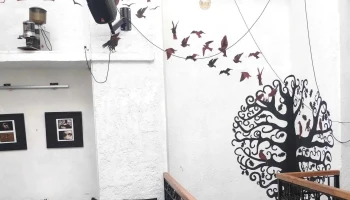 Minerva Libros - Montevideo