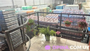 Mirlo - 11800 Montevideo Mirlo - 11800 Montevideo