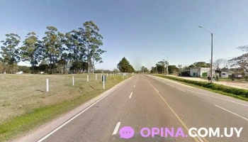 Mochi Love Uy - Blas Basualdo