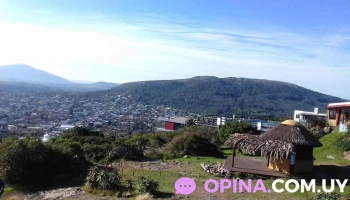 Moscato - 20200 Piriápolis Moscato - 20200 Piriápolis