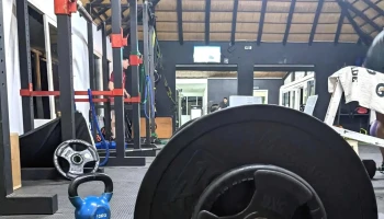 Motus - Punta Del Este