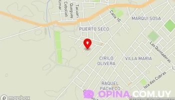 Muay thai - Rio Branco